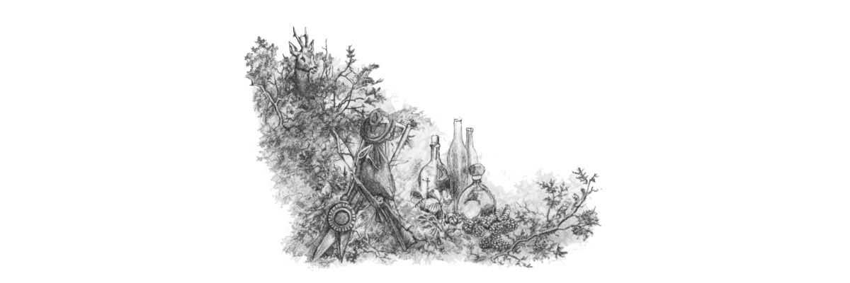 Nalewka z owoców leśnych